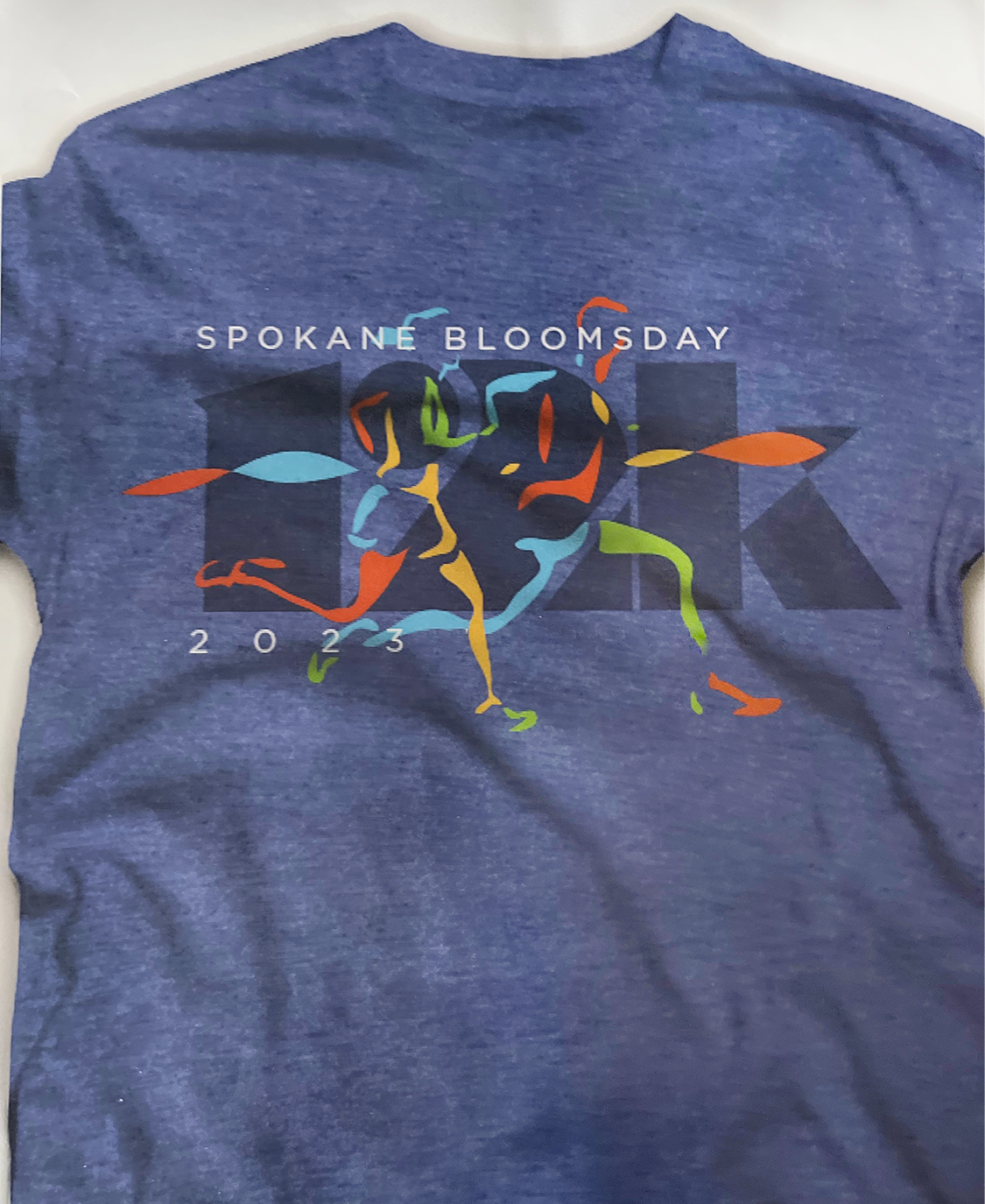 2019 bloomsday shirt